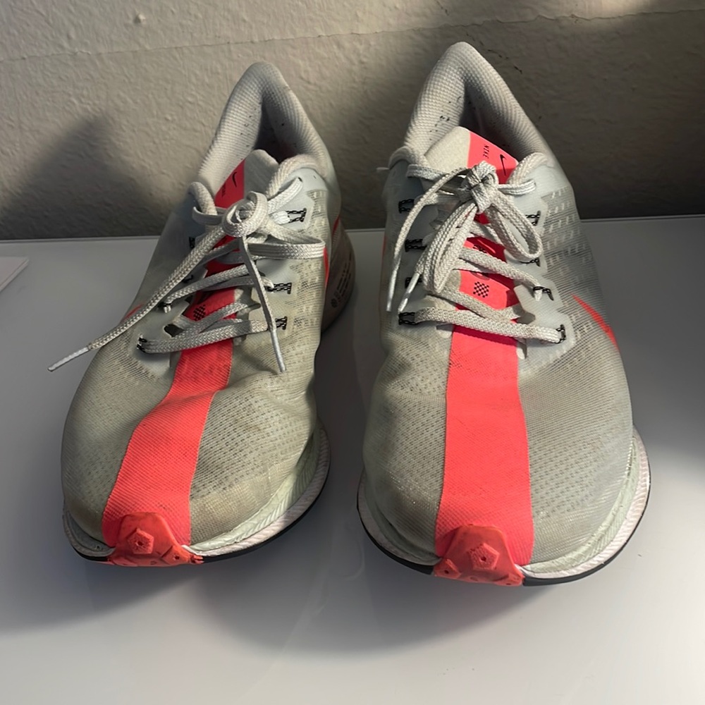 Pegasus turbo 1 OG Colorway